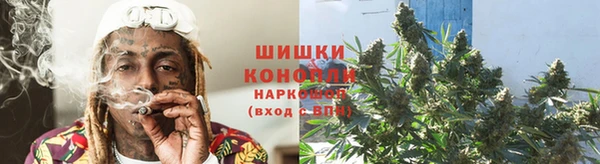 сатива Володарск