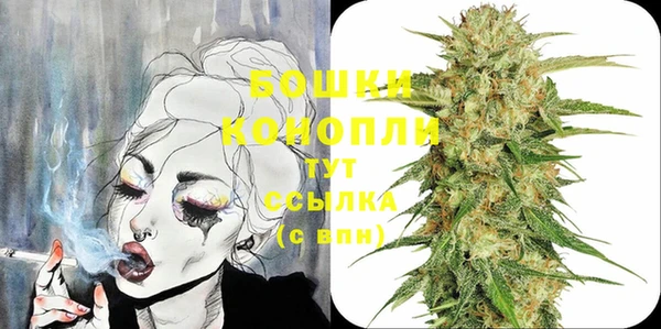PSILOCYBIN Слюдянка