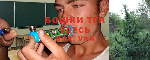сатива Володарск
